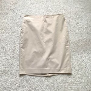 Ann Taylor Pencil Skirt